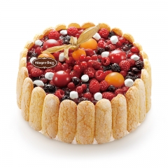 哈根达斯 新品蛋糕冰淇淋 夏洛特之吻 1.0千克