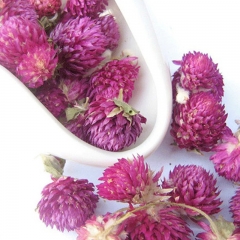 精选花草茶：千日红 花茶