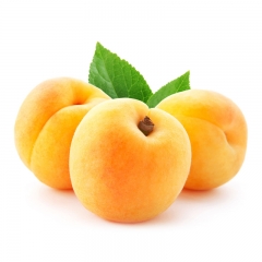 新鲜水果 姚庄黄桃5斤装 包邮