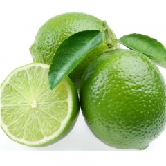 新鲜绿柠檬青柠檬 覆保鲜膜